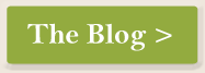 The Blog