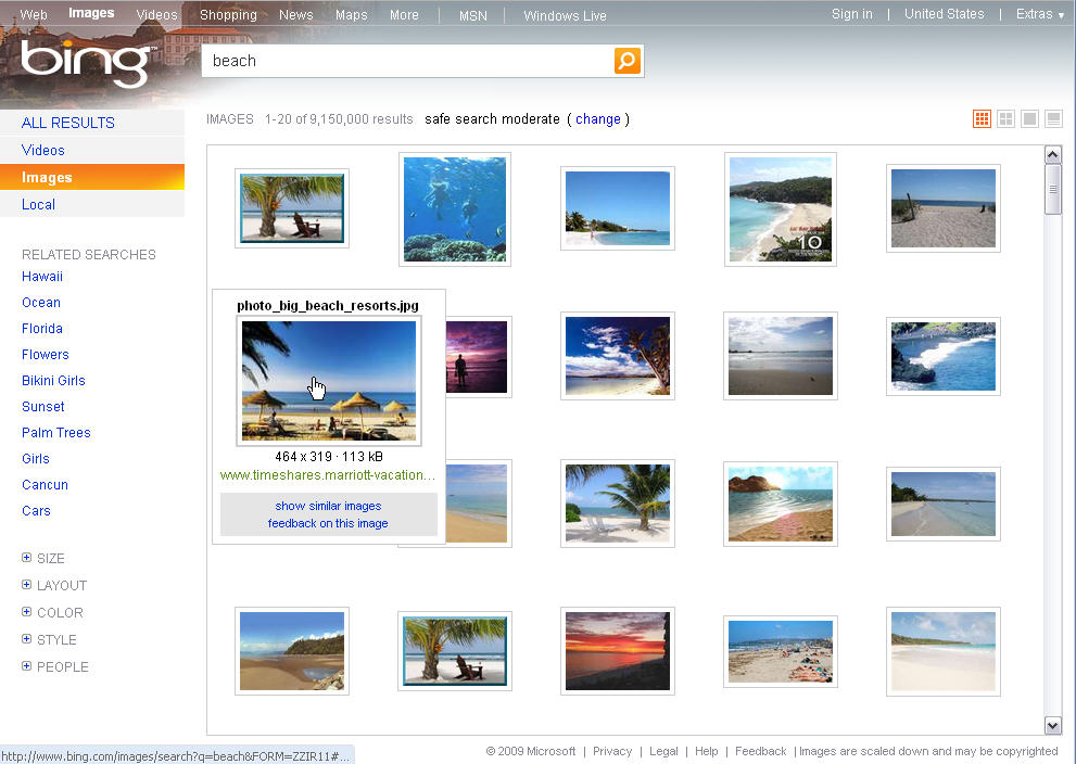 Image Search on Bing – Lauren Schaefer